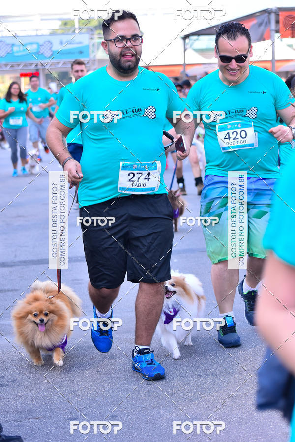 Buy your photos of the event2 Pet Run Shopping Eldorado  on Fotop