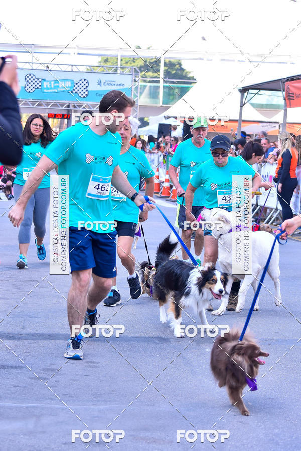 Buy your photos of the event2 Pet Run Shopping Eldorado  on Fotop
