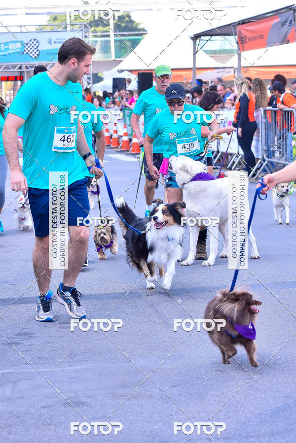 Buy your photos of the event2 Pet Run Shopping Eldorado  on Fotop