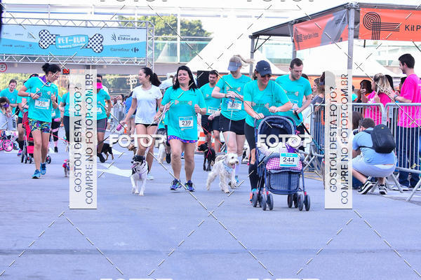 Buy your photos of the event2 Pet Run Shopping Eldorado  on Fotop