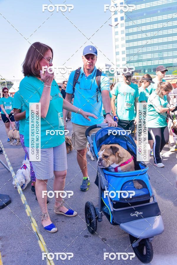 Buy your photos of the event2 Pet Run Shopping Eldorado  on Fotop
