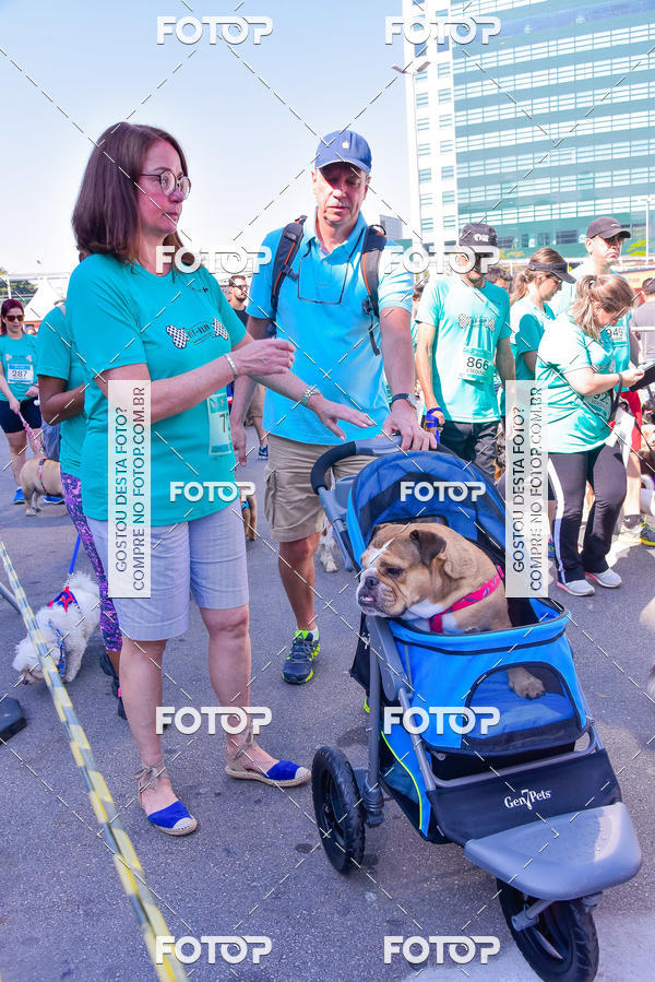 Buy your photos of the event2 Pet Run Shopping Eldorado  on Fotop