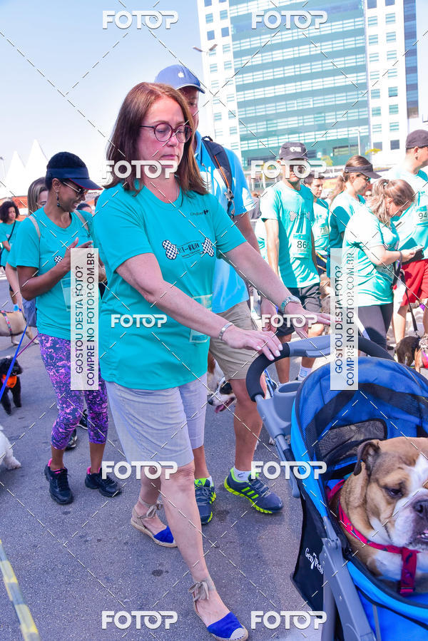 Buy your photos of the event2 Pet Run Shopping Eldorado  on Fotop