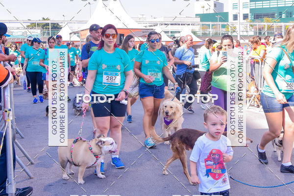 Buy your photos of the event2 Pet Run Shopping Eldorado  on Fotop
