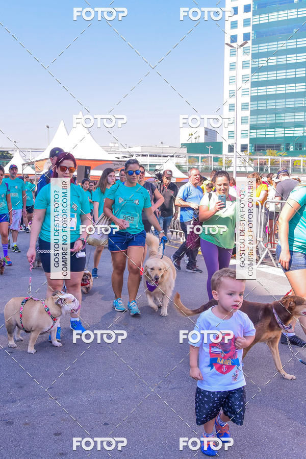 Buy your photos of the event2 Pet Run Shopping Eldorado  on Fotop