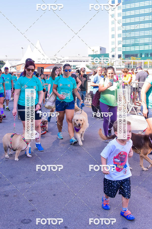 Buy your photos of the event2 Pet Run Shopping Eldorado  on Fotop