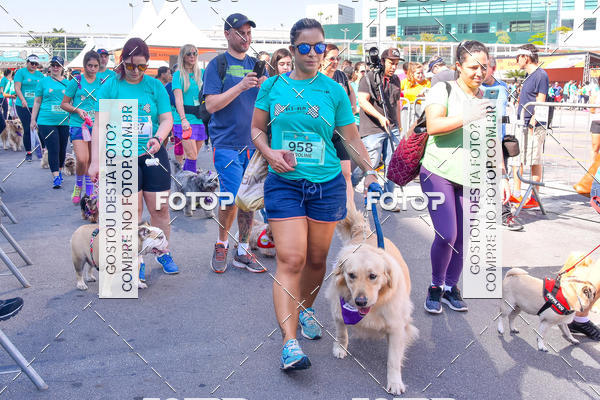 Buy your photos of the event2 Pet Run Shopping Eldorado  on Fotop