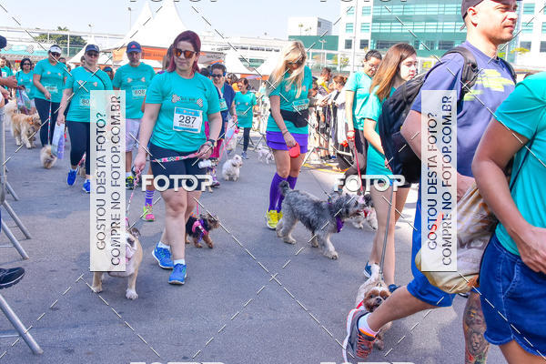 Buy your photos of the event2 Pet Run Shopping Eldorado  on Fotop