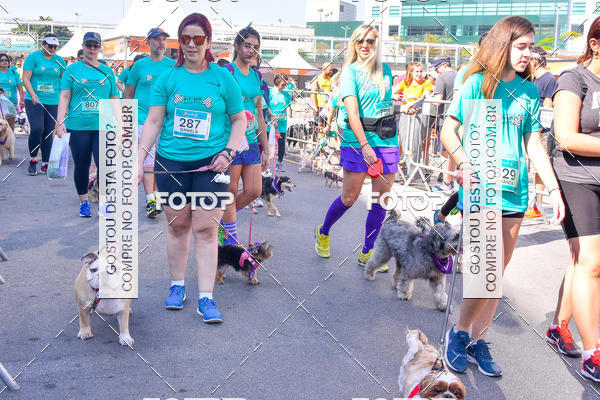 Buy your photos of the event2 Pet Run Shopping Eldorado  on Fotop