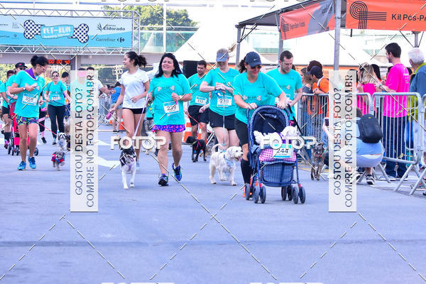 Buy your photos of the event2 Pet Run Shopping Eldorado  on Fotop