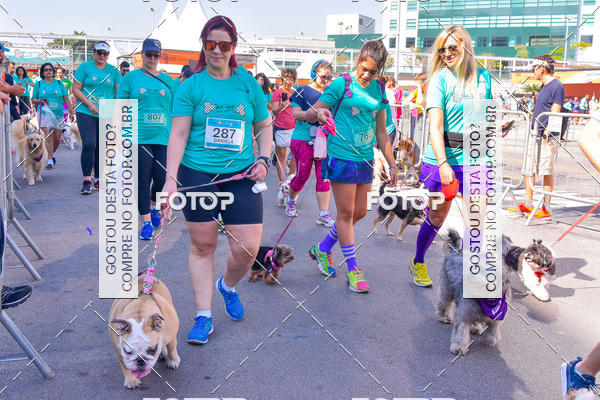 Buy your photos of the event2 Pet Run Shopping Eldorado  on Fotop