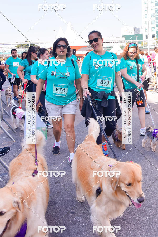 Buy your photos of the event2 Pet Run Shopping Eldorado  on Fotop