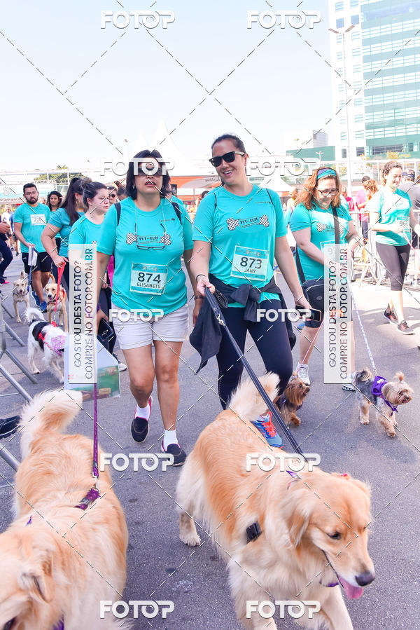 Buy your photos of the event2 Pet Run Shopping Eldorado  on Fotop