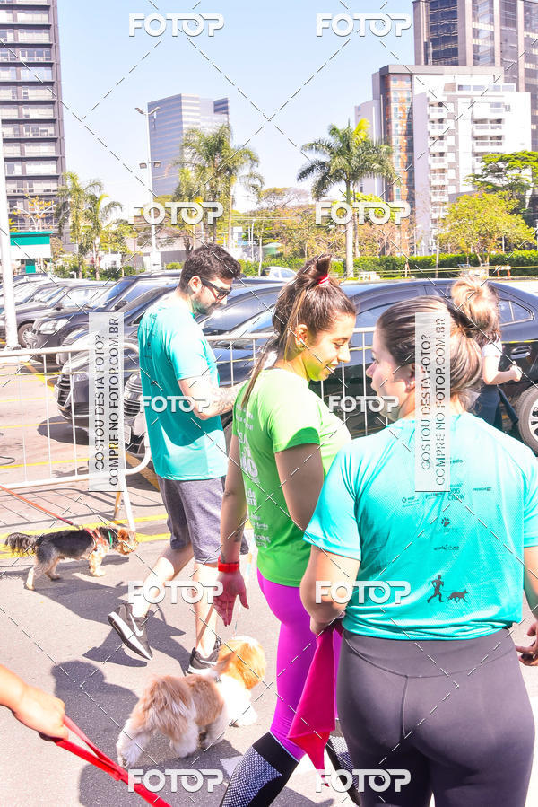 Buy your photos of the event2 Pet Run Shopping Eldorado  on Fotop