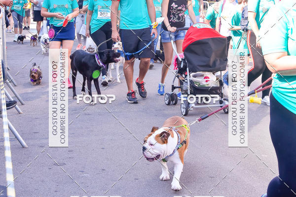 Buy your photos of the event2 Pet Run Shopping Eldorado  on Fotop
