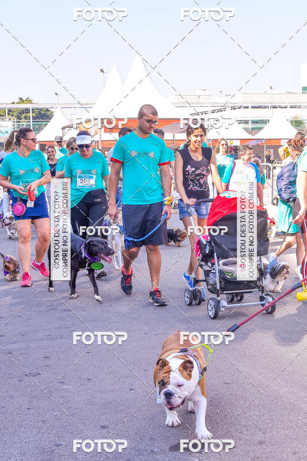 Buy your photos of the event2 Pet Run Shopping Eldorado  on Fotop