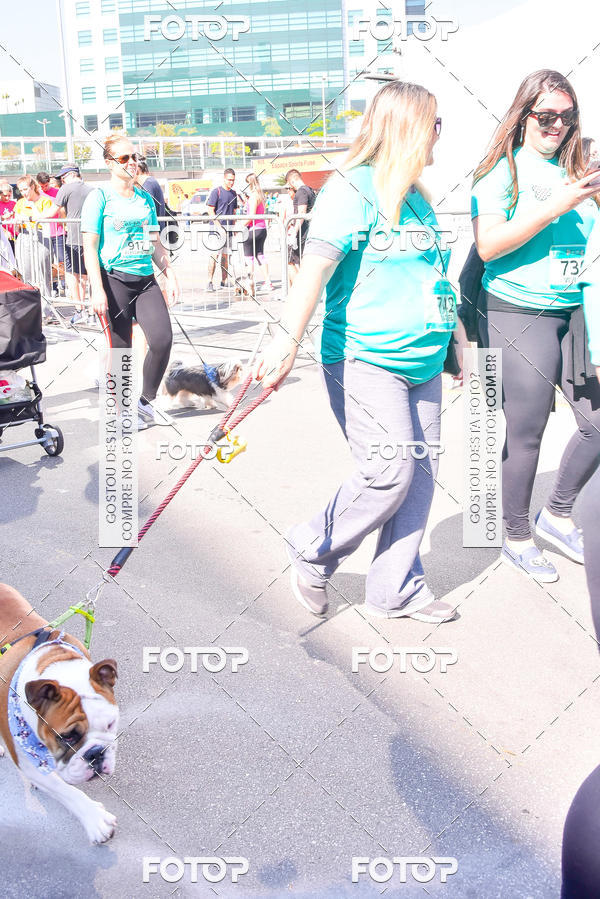 Buy your photos of the event2 Pet Run Shopping Eldorado  on Fotop