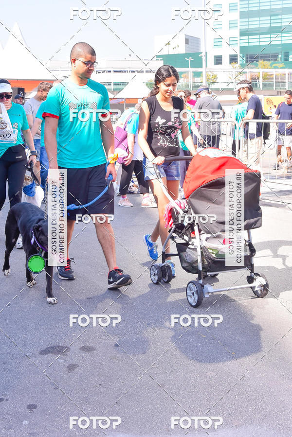 Buy your photos of the event2 Pet Run Shopping Eldorado  on Fotop