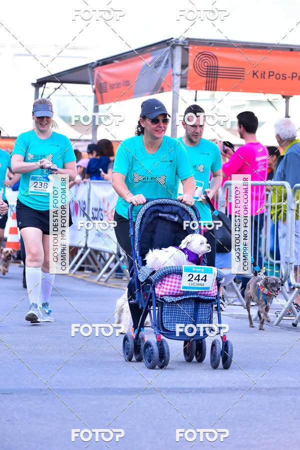 Buy your photos of the event2 Pet Run Shopping Eldorado  on Fotop