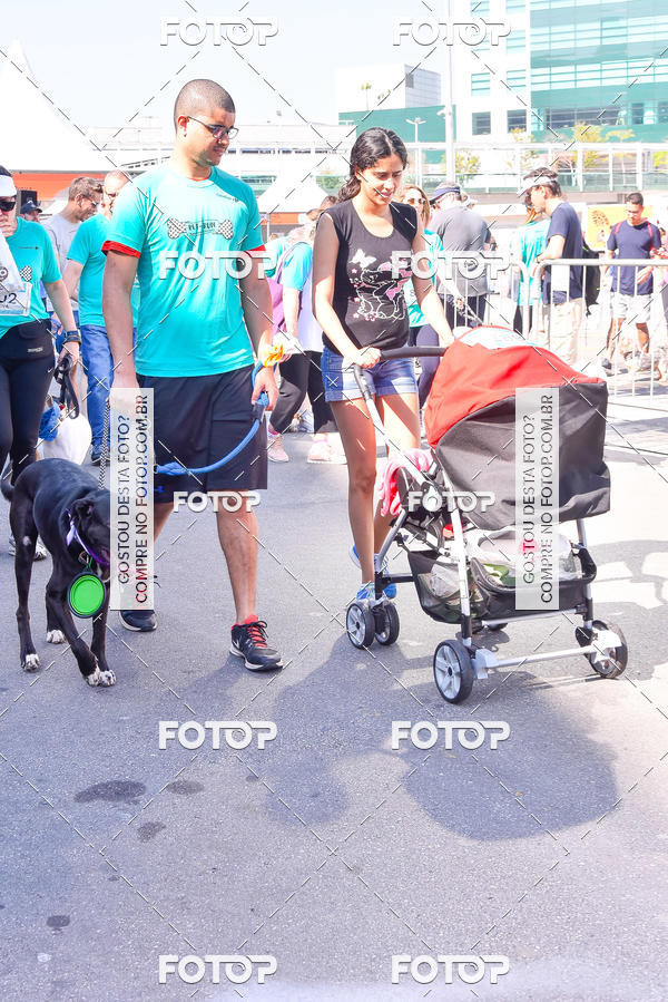 Buy your photos of the event2 Pet Run Shopping Eldorado  on Fotop