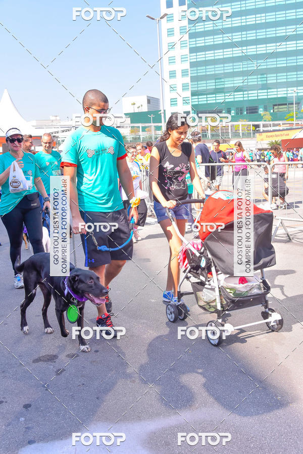Buy your photos of the event2 Pet Run Shopping Eldorado  on Fotop