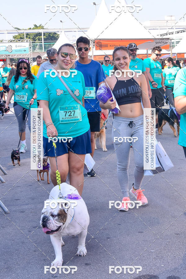 Buy your photos of the event2 Pet Run Shopping Eldorado  on Fotop