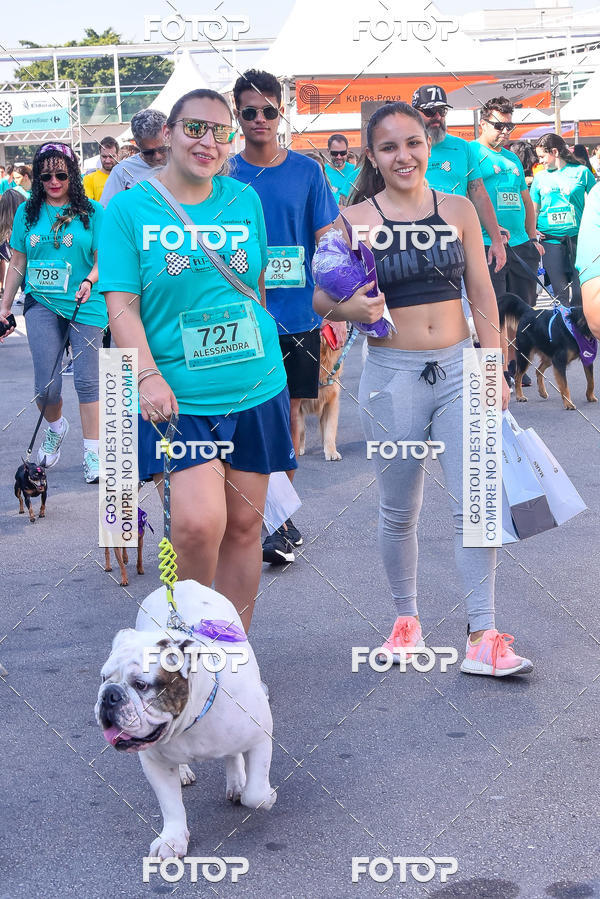 Buy your photos of the event2 Pet Run Shopping Eldorado  on Fotop