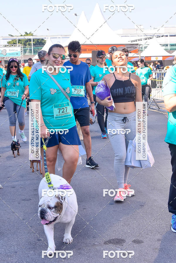 Buy your photos of the event2 Pet Run Shopping Eldorado  on Fotop