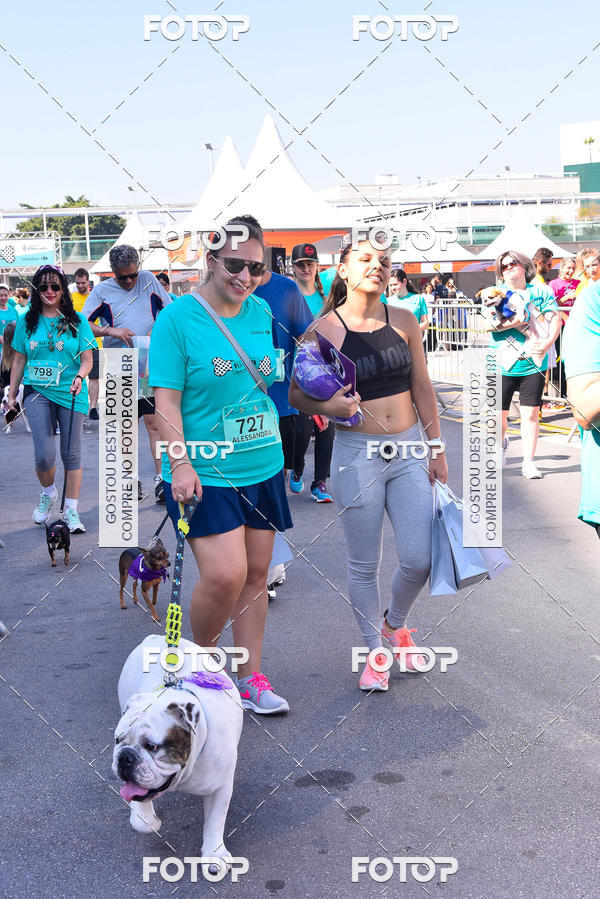 Buy your photos of the event2 Pet Run Shopping Eldorado  on Fotop