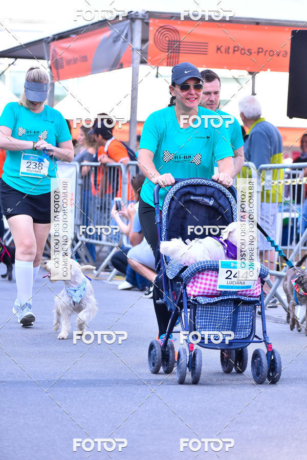 Buy your photos of the event2 Pet Run Shopping Eldorado  on Fotop