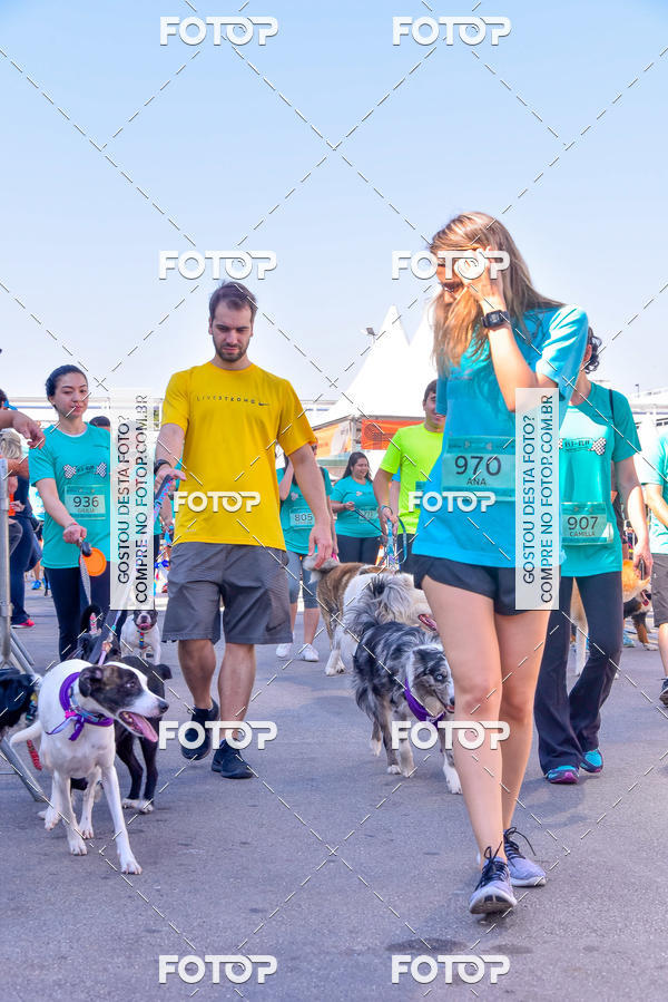 Buy your photos of the event2 Pet Run Shopping Eldorado  on Fotop
