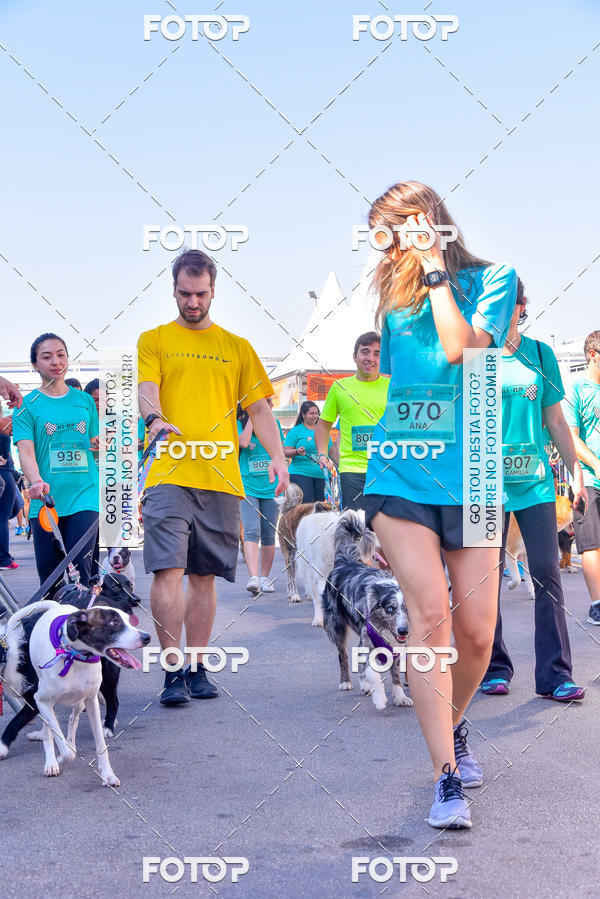 Buy your photos of the event2 Pet Run Shopping Eldorado  on Fotop