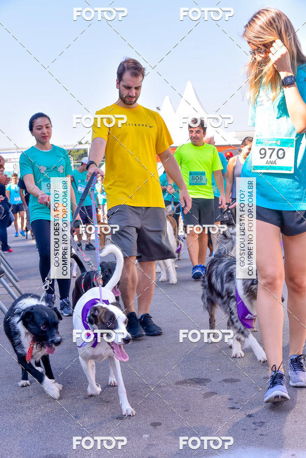 Buy your photos of the event2 Pet Run Shopping Eldorado  on Fotop