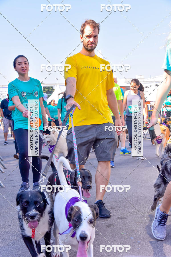 Buy your photos of the event2 Pet Run Shopping Eldorado  on Fotop