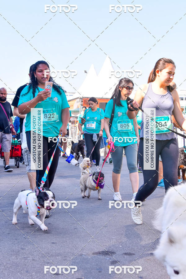Buy your photos of the event2 Pet Run Shopping Eldorado  on Fotop