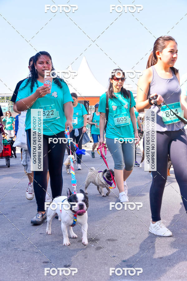 Buy your photos of the event2 Pet Run Shopping Eldorado  on Fotop