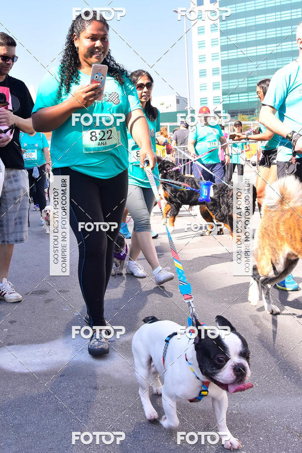 Buy your photos of the event2 Pet Run Shopping Eldorado  on Fotop