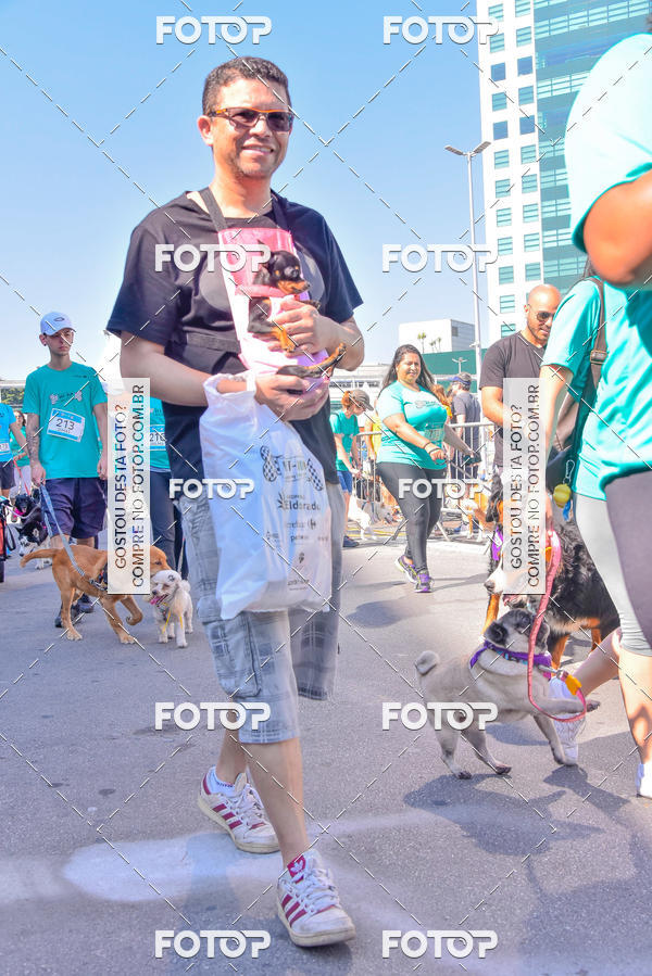 Buy your photos of the event2 Pet Run Shopping Eldorado  on Fotop