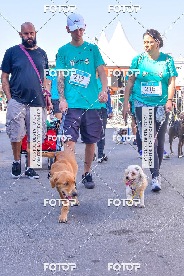 Buy your photos of the event2 Pet Run Shopping Eldorado  on Fotop