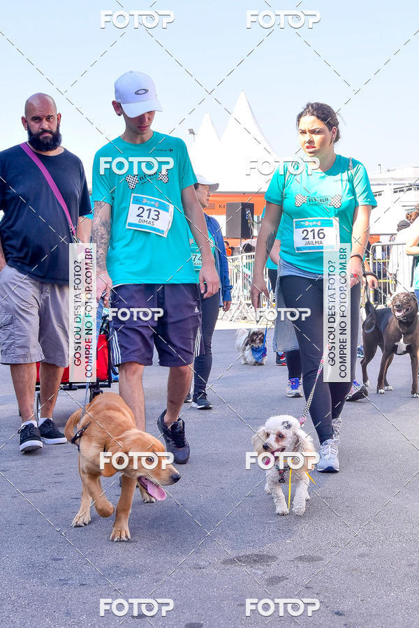 Buy your photos of the event2 Pet Run Shopping Eldorado  on Fotop