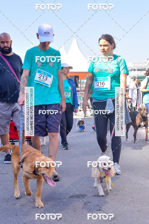 Buy your photos of the event2 Pet Run Shopping Eldorado  on Fotop