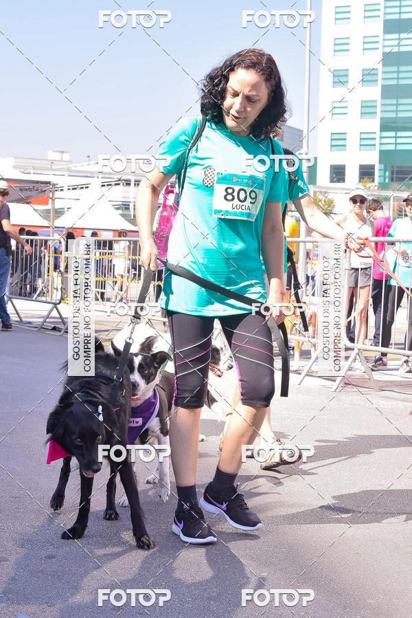 Buy your photos of the event2 Pet Run Shopping Eldorado  on Fotop