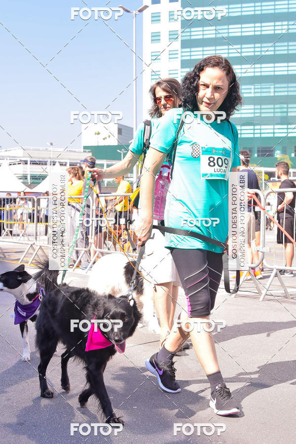 Buy your photos of the event2 Pet Run Shopping Eldorado  on Fotop