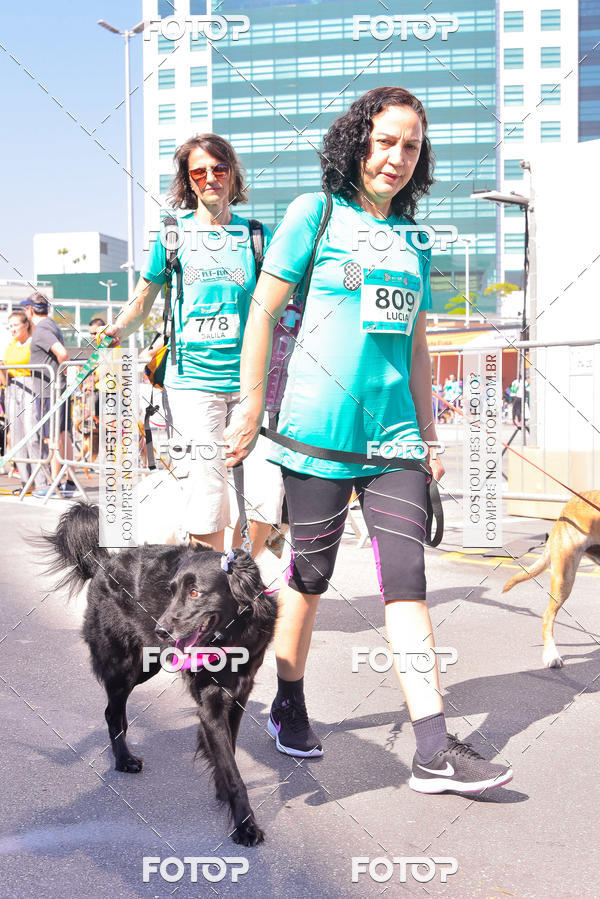 Buy your photos of the event2 Pet Run Shopping Eldorado  on Fotop