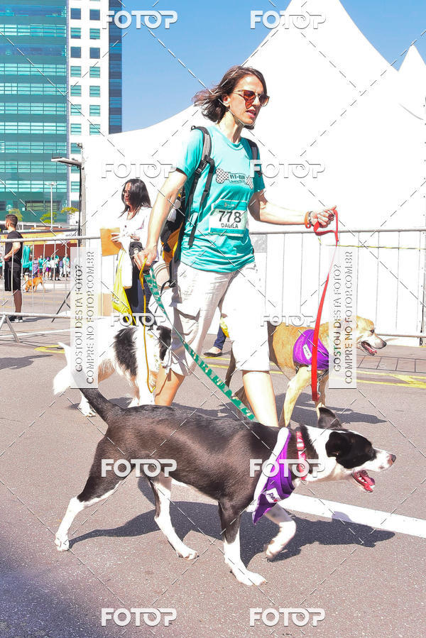 Buy your photos of the event2 Pet Run Shopping Eldorado  on Fotop