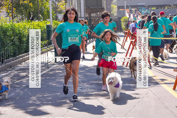 Buy your photos of the event2 Pet Run Shopping Eldorado  on Fotop