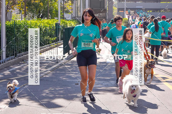 Buy your photos of the event2 Pet Run Shopping Eldorado  on Fotop