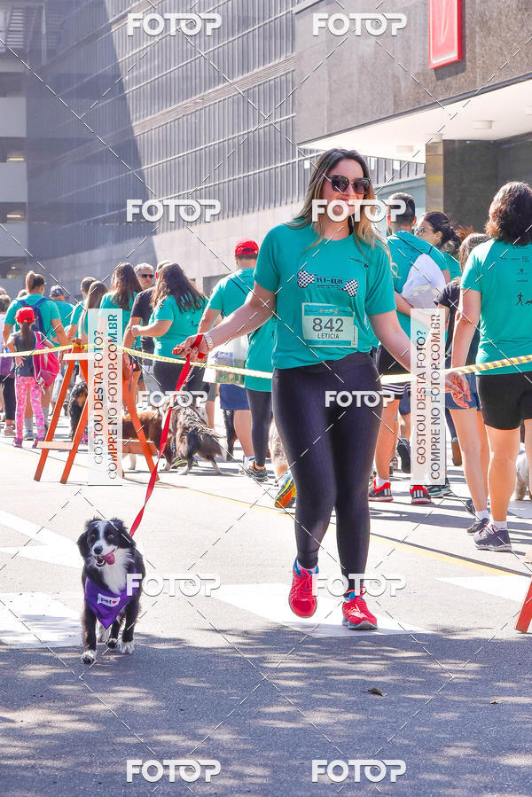 Buy your photos of the event2 Pet Run Shopping Eldorado  on Fotop