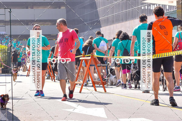 Buy your photos of the event2 Pet Run Shopping Eldorado  on Fotop