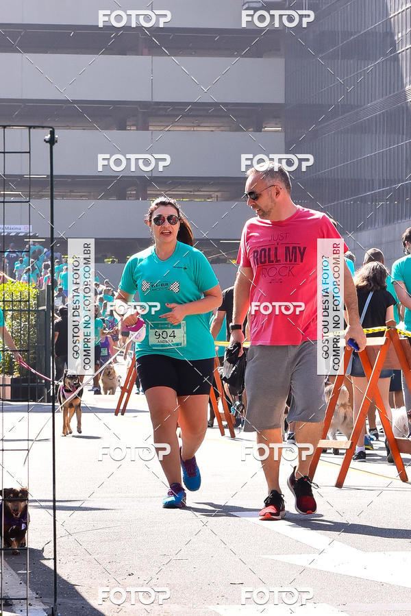Buy your photos of the event2 Pet Run Shopping Eldorado  on Fotop